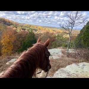 Meet your Posher, Jenny